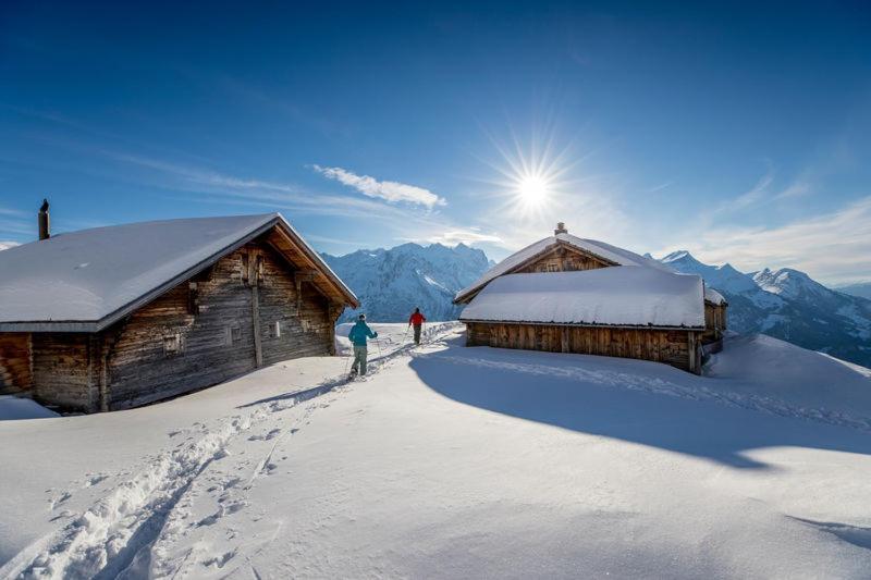 Mountain Lodge Urweider Innertkirchen Exterior foto